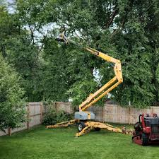 Best Tree Trimming and Pruning  in Royal Pines, NC